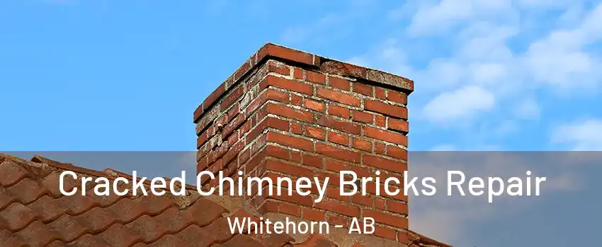  Cracked Chimney Bricks Repair Whitehorn - AB