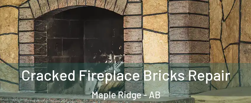  Cracked Fireplace Bricks Repair Maple Ridge - AB