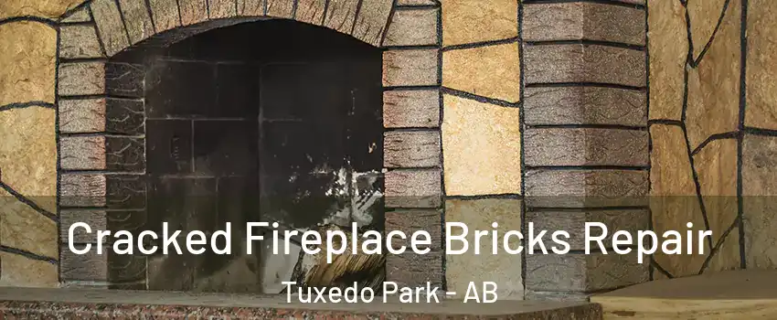  Cracked Fireplace Bricks Repair Tuxedo Park - AB