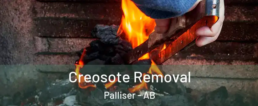  Creosote Removal Palliser - AB