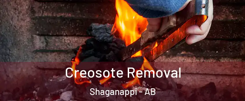  Creosote Removal Shaganappi - AB