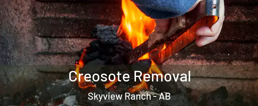  Creosote Removal Skyview Ranch - AB