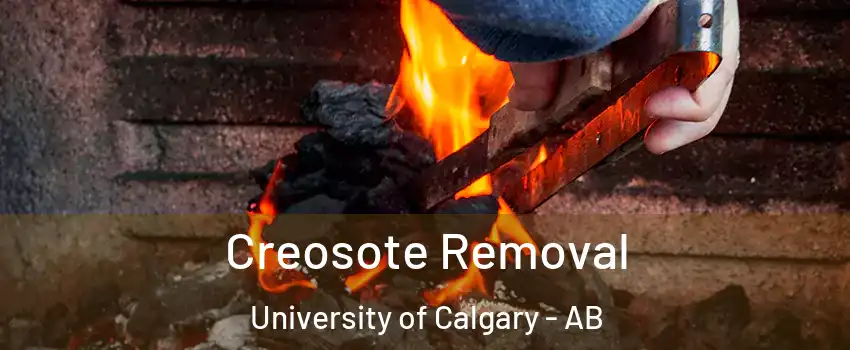  Creosote Removal University of Calgary - AB