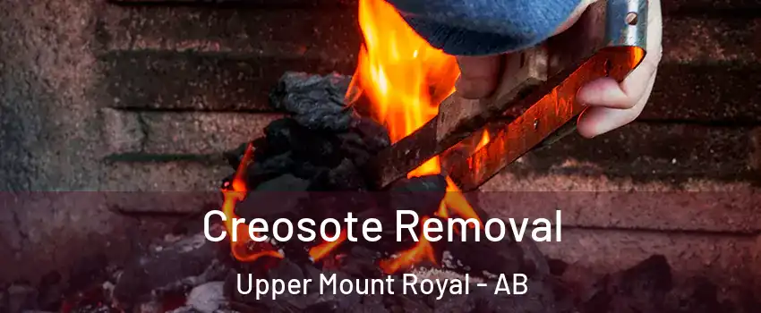  Creosote Removal Upper Mount Royal - AB
