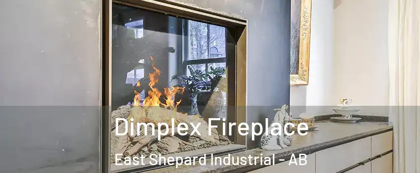  Dimplex Fireplace East Shepard Industrial - AB