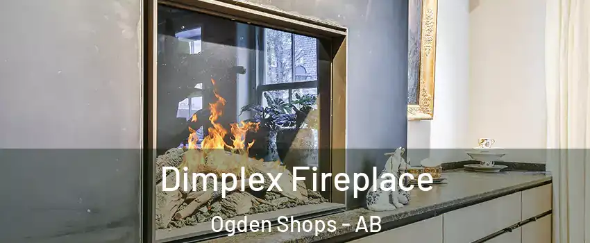  Dimplex Fireplace Ogden Shops - AB