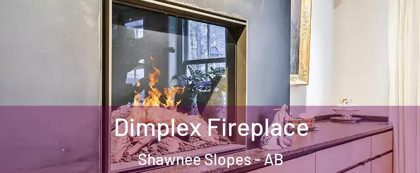  Dimplex Fireplace Shawnee Slopes - AB
