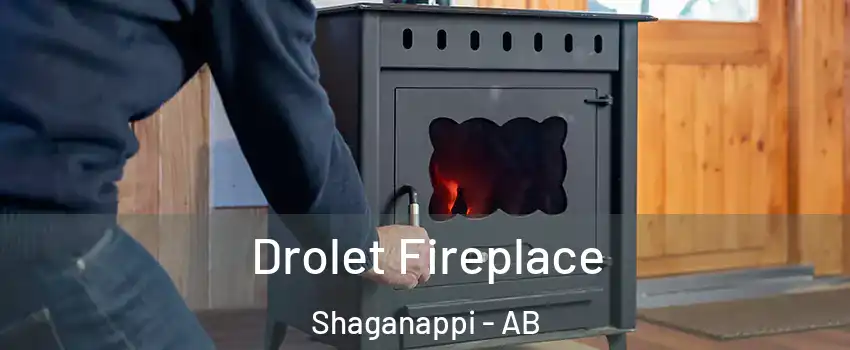  Drolet Fireplace Shaganappi - AB