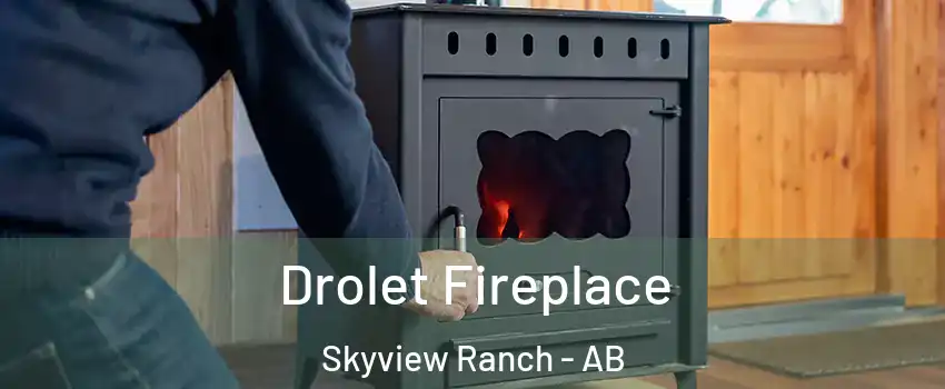  Drolet Fireplace Skyview Ranch - AB