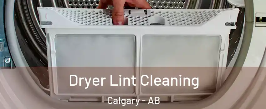  Dryer Lint Cleaning Calgary - AB