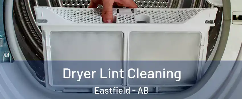  Dryer Lint Cleaning Eastfield - AB