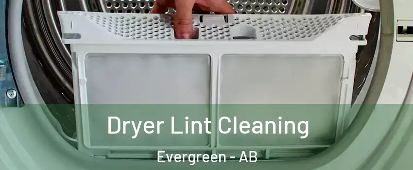  Dryer Lint Cleaning Evergreen - AB