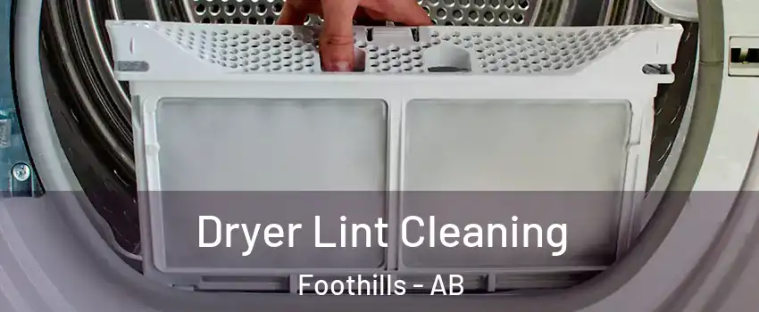  Dryer Lint Cleaning Foothills - AB