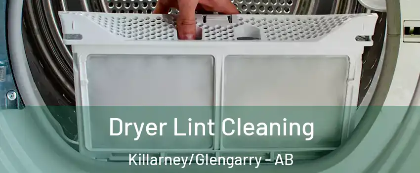  Dryer Lint Cleaning Killarney/Glengarry - AB