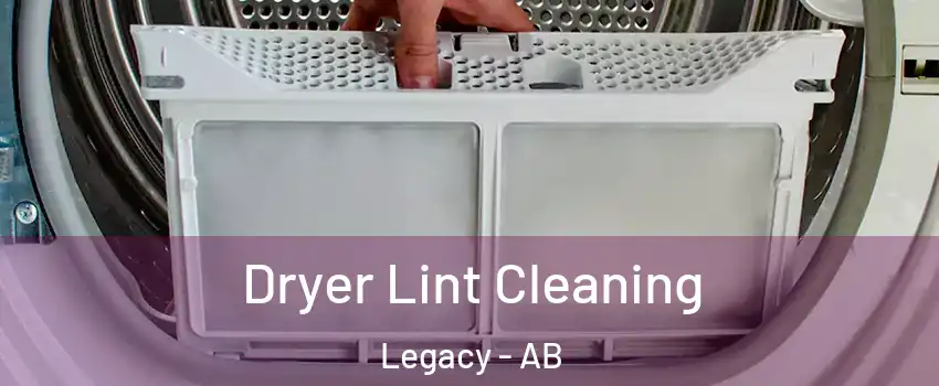  Dryer Lint Cleaning Legacy - AB