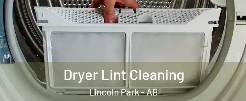  Dryer Lint Cleaning Lincoln Park - AB