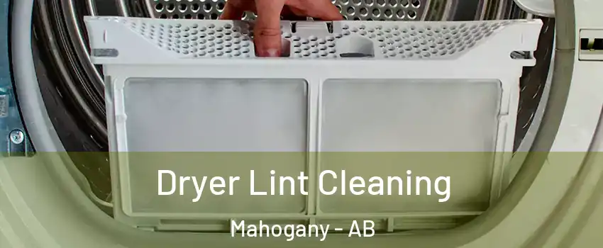  Dryer Lint Cleaning Mahogany - AB