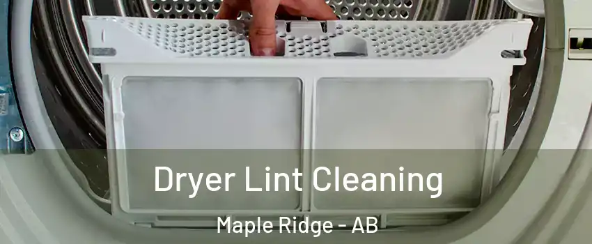 Dryer Lint Cleaning Maple Ridge - AB