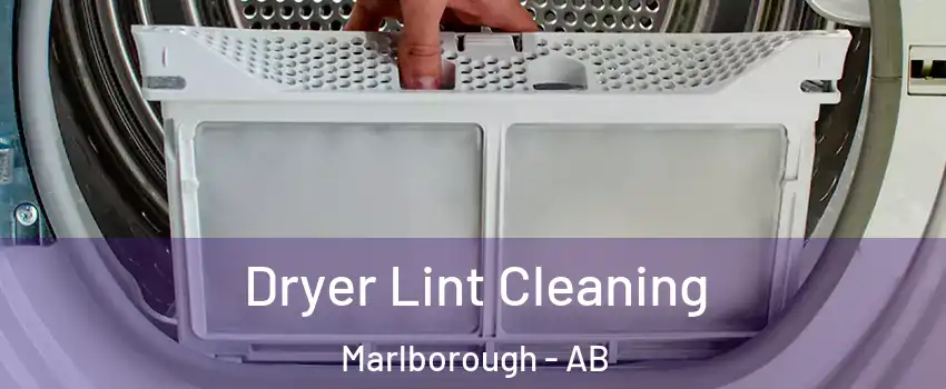  Dryer Lint Cleaning Marlborough - AB