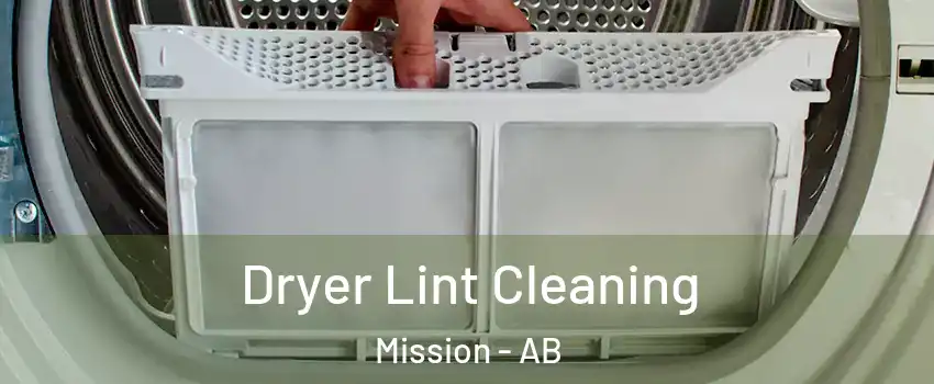  Dryer Lint Cleaning Mission - AB