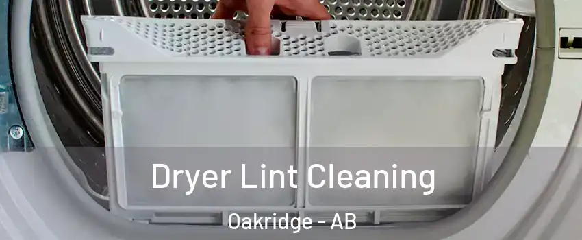  Dryer Lint Cleaning Oakridge - AB