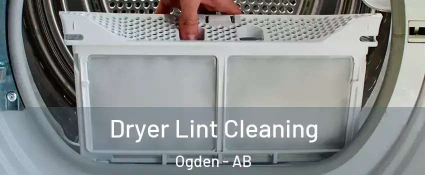  Dryer Lint Cleaning Ogden - AB
