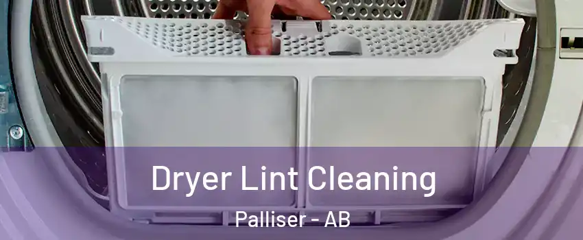  Dryer Lint Cleaning Palliser - AB