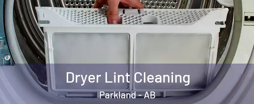  Dryer Lint Cleaning Parkland - AB