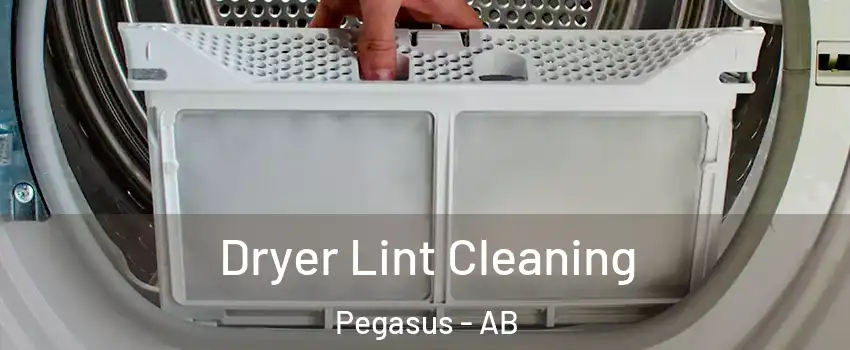  Dryer Lint Cleaning Pegasus - AB