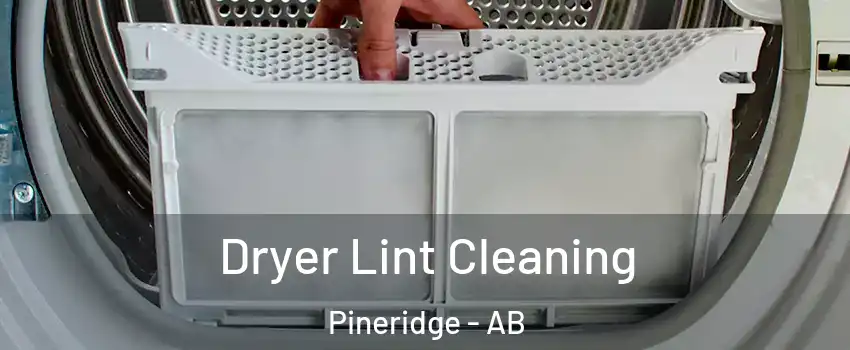 Dryer Lint Cleaning Pineridge - AB