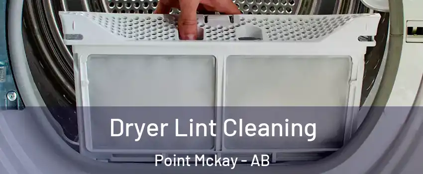  Dryer Lint Cleaning Point Mckay - AB