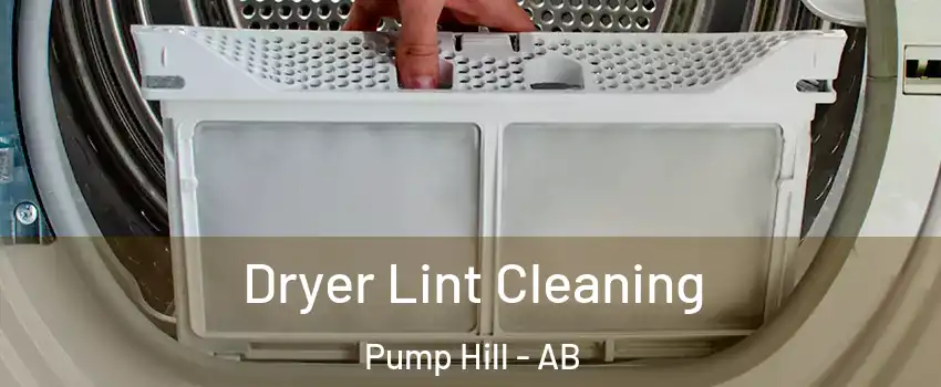  Dryer Lint Cleaning Pump Hill - AB