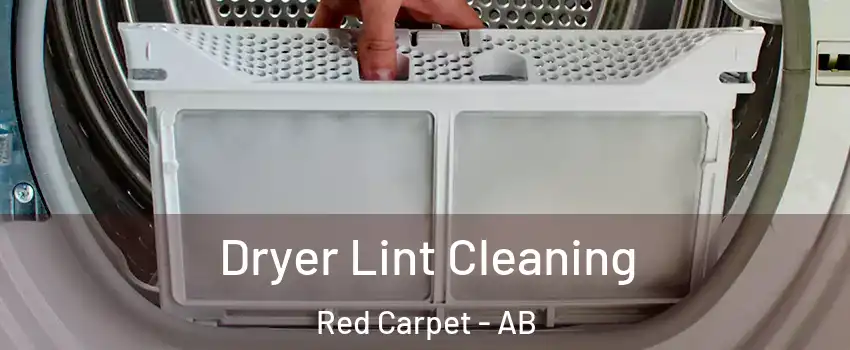  Dryer Lint Cleaning Red Carpet - AB