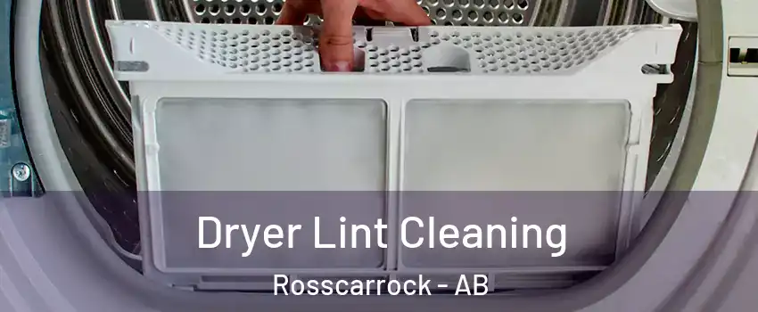  Dryer Lint Cleaning Rosscarrock - AB