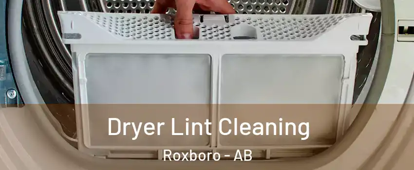  Dryer Lint Cleaning Roxboro - AB