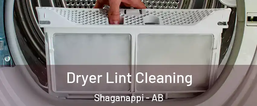  Dryer Lint Cleaning Shaganappi - AB