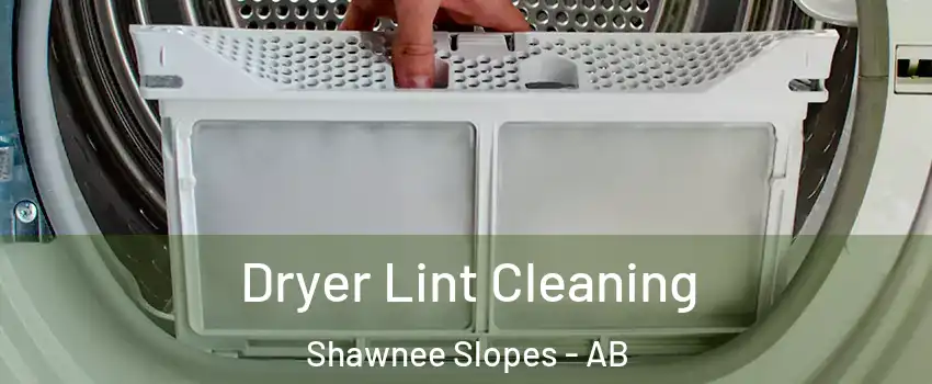  Dryer Lint Cleaning Shawnee Slopes - AB