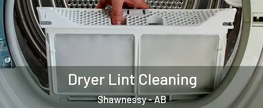  Dryer Lint Cleaning Shawnessy - AB