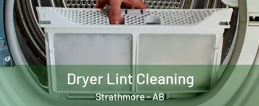  Dryer Lint Cleaning Strathmore - AB