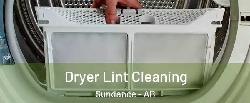  Dryer Lint Cleaning Sundance - AB