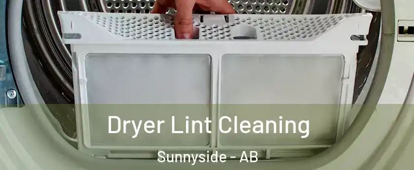  Dryer Lint Cleaning Sunnyside - AB