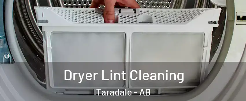  Dryer Lint Cleaning Taradale - AB