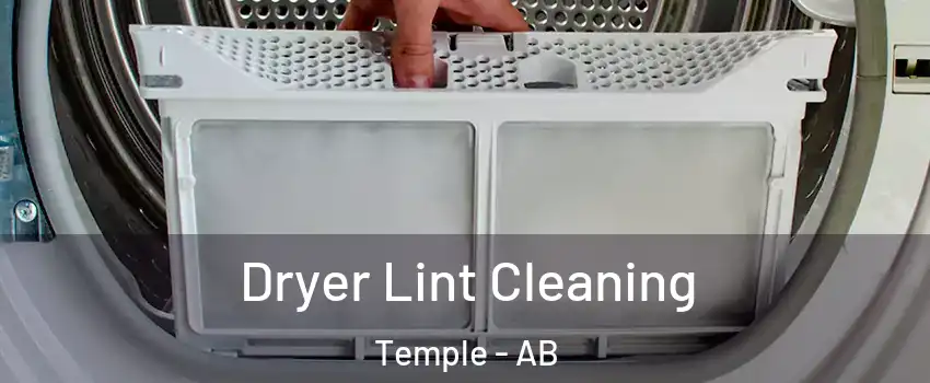  Dryer Lint Cleaning Temple - AB