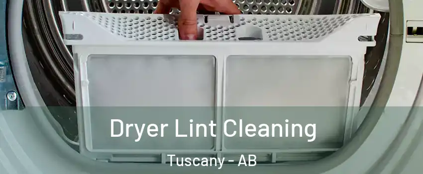  Dryer Lint Cleaning Tuscany - AB