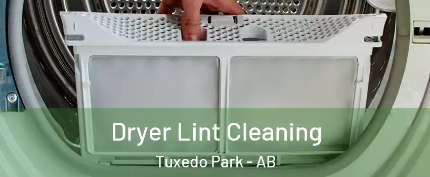  Dryer Lint Cleaning Tuxedo Park - AB