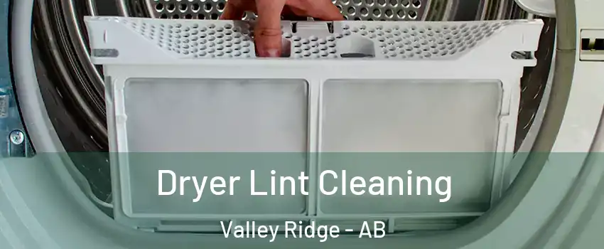  Dryer Lint Cleaning Valley Ridge - AB