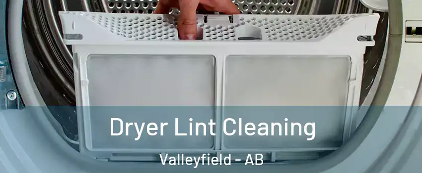  Dryer Lint Cleaning Valleyfield - AB