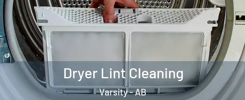  Dryer Lint Cleaning Varsity - AB