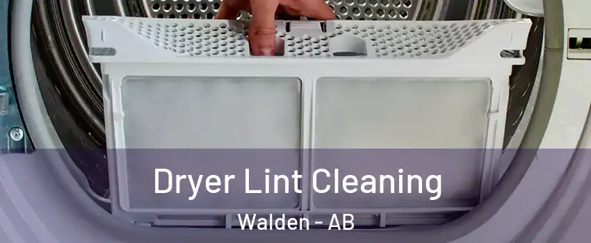  Dryer Lint Cleaning Walden - AB