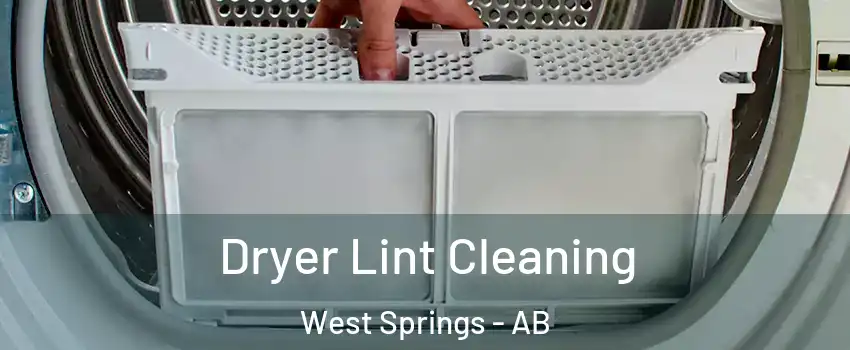  Dryer Lint Cleaning West Springs - AB